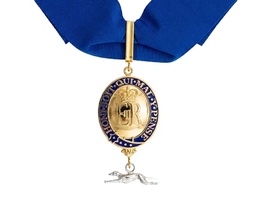 Appointment Insignia